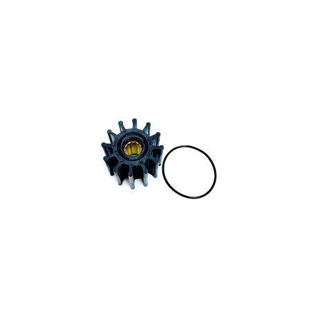 WATER PUMP, IK 21700445