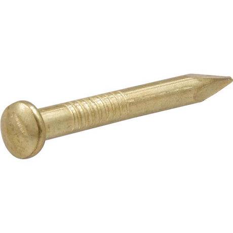 HILLMAN OOK Brass-Plated Brick Picture Hanging Nails 20 lb 10 pk, Pack of 12