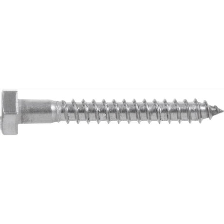 HILLMAN 1/4 in. X 3-1/2 in. L Hex Stainless Steel Lag Screw 25 pk