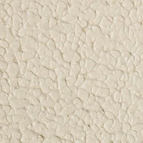 KiwiGrip KG4CPR Anti-Slip Deck Coating, Gal., Cream