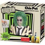 Chia Pet Beetlejuice Decorative Planter Clay 1 pk