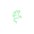Green Long Life Green LED Lizard, 20"