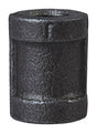 ProSource B220 6 Pipe Coupling, 1/8 in, FIP, Steel, 40 Schedule, 300 psi Pressure