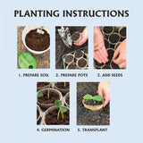 Ferry-Morse 15 Cells 3 in. H X 3 in. W X 3 in. L Seed Starting Peat Pot 15 pk
