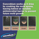 Concrobium Mold Control 14.1 oz, Pack of 6