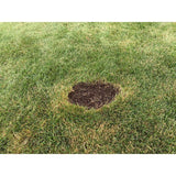 Ace Rapid Repair Pod All Grasses Full Sun Fertilizer/Mulch/Seed 15 pk
