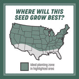 Pennington Kentucky 31 Tall Fescue Grass Sun or Shade Grass Seed 40 lb