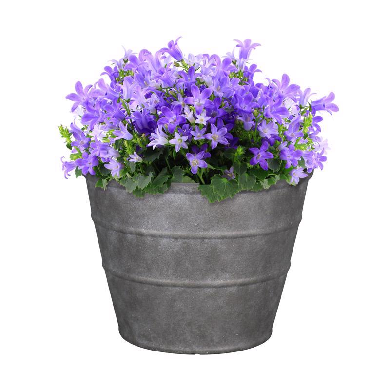 v 12 in. H X 16 in. D Polyresin Hamilton Planter Charcoal
