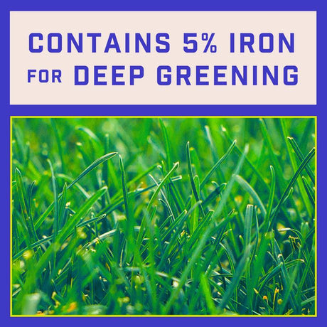 Pennington Full Season Weed & Feed Lawn Fertilizer For Multiple Grass Types 12000 sq ft