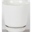Border Concepts 6 in. D Ceramic Flair Saucer Planter White, Pack of 6