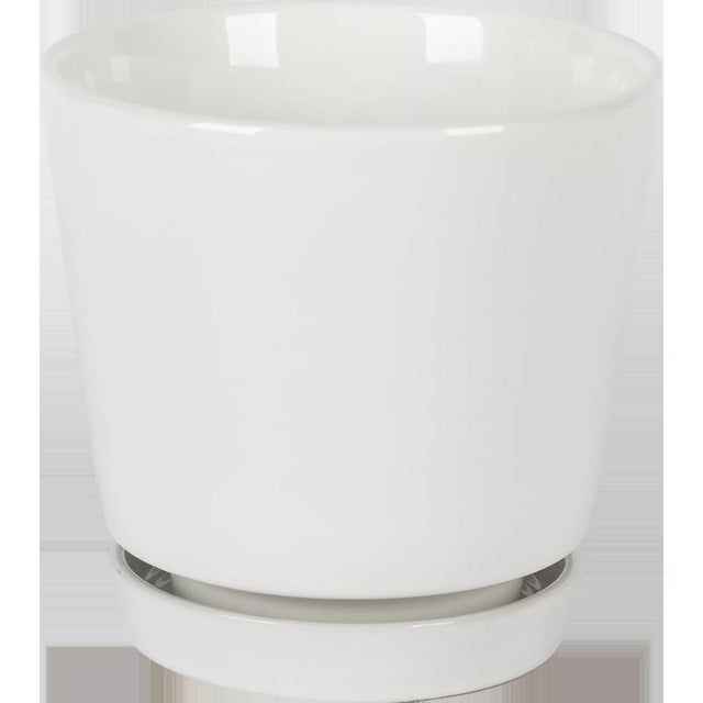 Border Concepts 6 in. D Ceramic Flair Saucer Planter White, Pack of 6