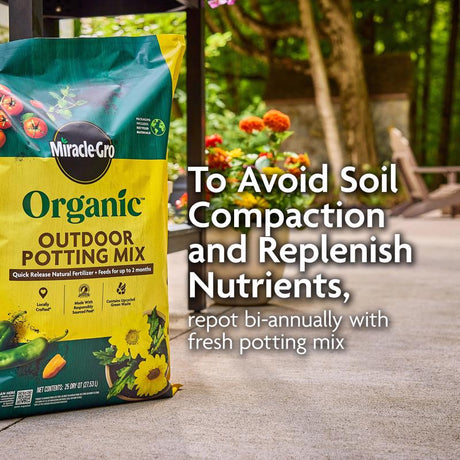 Miracle-Gro Organic Organic All Purpose Potting Mix 16 qt
