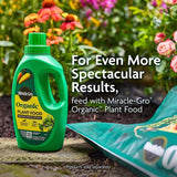 Miracle-Gro Organic Organic All Purpose Potting Mix 16 qt