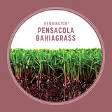 Pennington Pensacola Bahiagrass Full Sun Grass Seed 3 lb