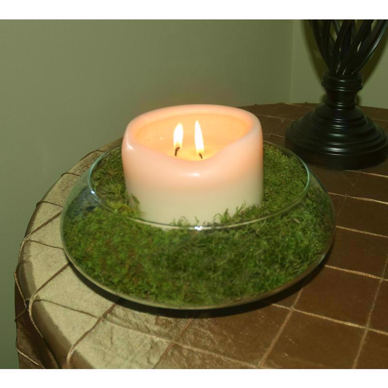 Mosser Lee Organic Green Sheet Moss 325 sq in