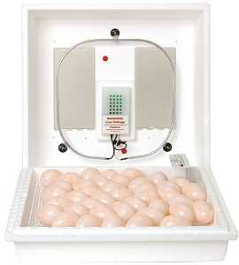 Little Giant 9300 Egg Incubator, 110 V, 41 Egg, 21 days Incubator Period, Styrofoam