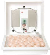 Little Giant 9300 Egg Incubator, 110 V, 41 Egg, 21 days Incubator Period, Styrofoam