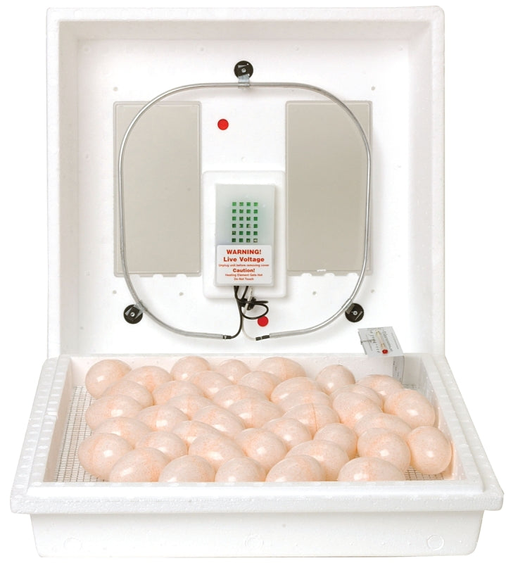 Little Giant 9300 Egg Incubator, 110 V, 41 Egg, 21 days Incubator Period, Styrofoam