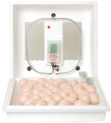 Little Giant 9300 Egg Incubator, 110 V, 41 Egg, 21 days Incubator Period, Styrofoam