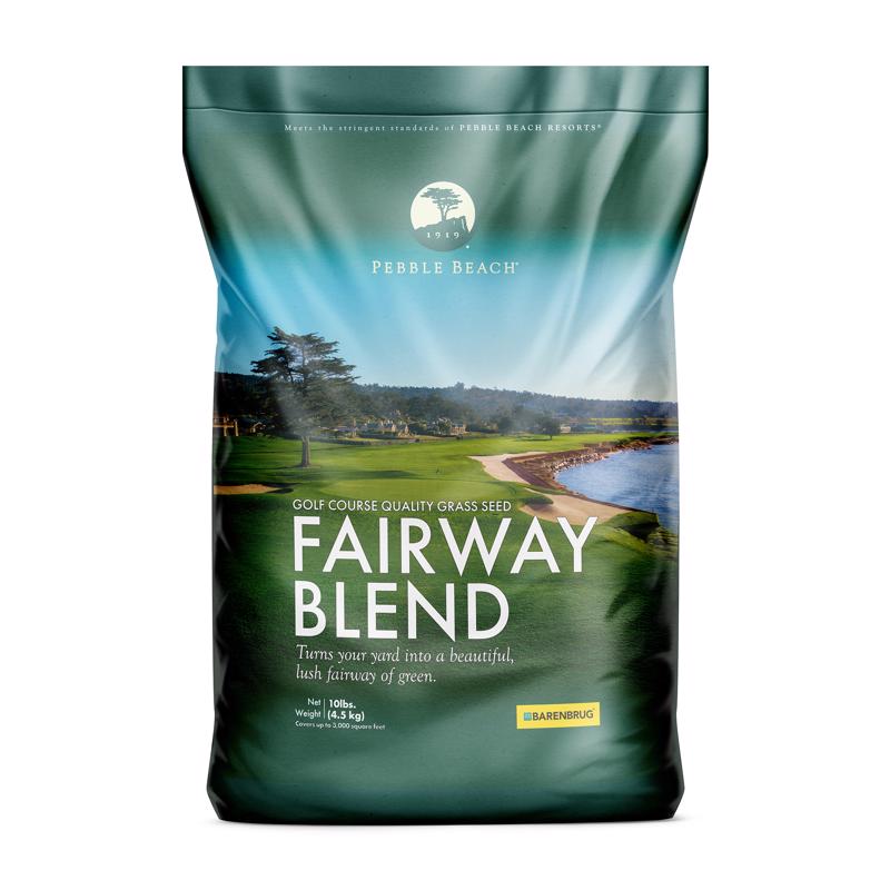 Barenbrug Pebble Beach Perennial Ryegrass Partial Shade/Sun Grass Seed 10 lb