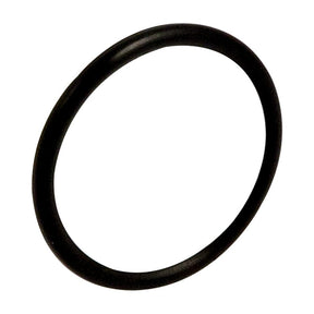 Koch 4075701 O-Ring, Rubber