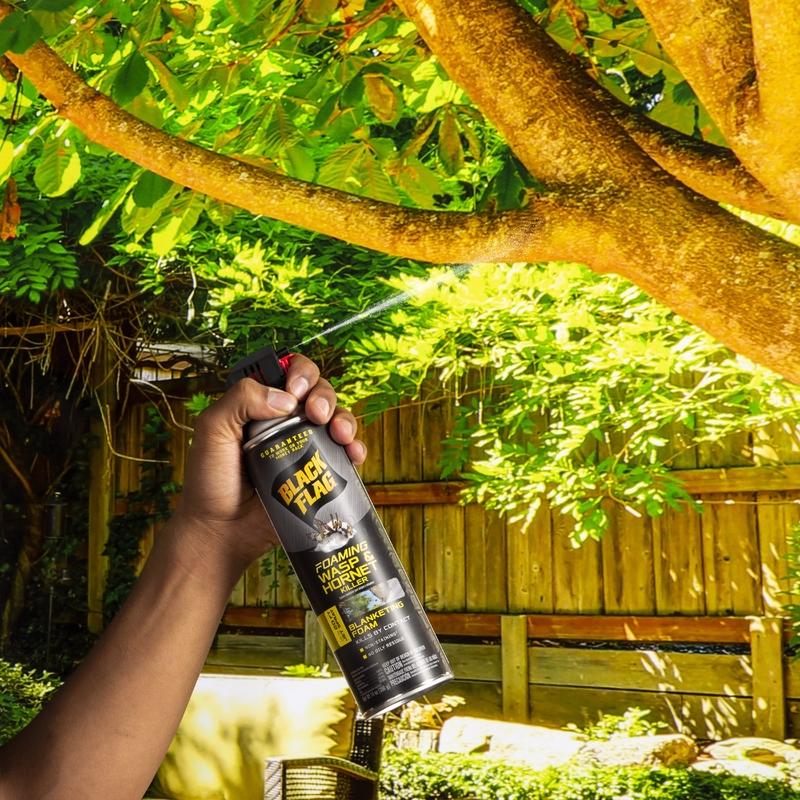Black Flag Wasp and Hornet Killer Foam 14 oz, Pack of 12