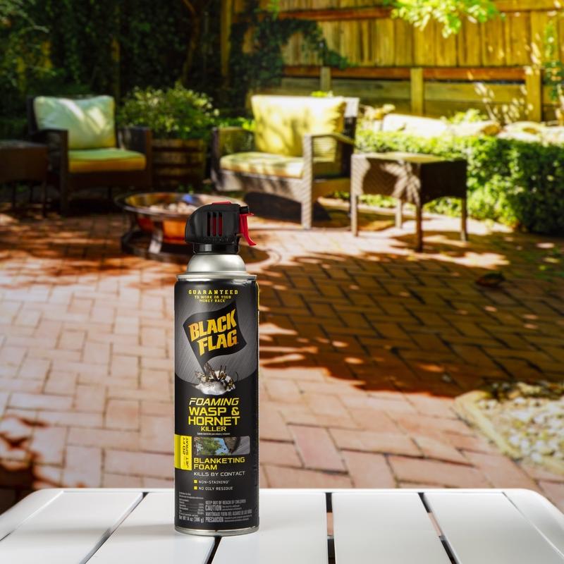 Black Flag Wasp and Hornet Killer Foam 14 oz, Pack of 12