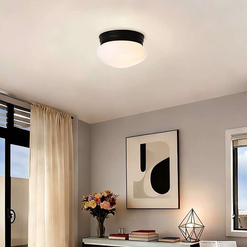 Boston Harbor OG24007 Ceiling Light, 120 V, 1-Lamp, Black Fixture, Matte Black Fixture