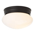 Boston Harbor OG24007 Ceiling Light, 120 V, 1-Lamp, Black Fixture, Matte Black Fixture