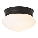 Boston Harbor OG24007 Ceiling Light, 120 V, 1-Lamp, Black Fixture, Matte Black Fixture