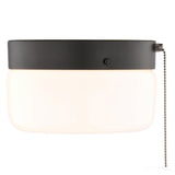 Boston Harbor OG24015 Ceiling Light, 120 V, 2-Lamp, CFL, Incandescent, LED Lamp, Metal Fixture, Matte Black Fixture