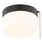 Boston Harbor OG24015 Ceiling Light, 120 V, 2-Lamp, CFL, Incandescent, LED Lamp, Metal Fixture, Matte Black Fixture