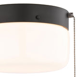 Boston Harbor OG24015 Ceiling Light, 120 V, 2-Lamp, CFL, Incandescent, LED Lamp, Metal Fixture, Matte Black Fixture