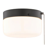Boston Harbor OG24015 Ceiling Light, 120 V, 2-Lamp, CFL, Incandescent, LED Lamp, Metal Fixture, Matte Black Fixture