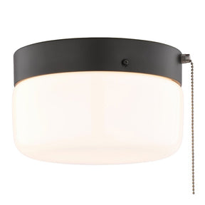 Boston Harbor OG24015 Ceiling Light, 120 V, 2-Lamp, CFL, Incandescent, LED Lamp, Metal Fixture, Matte Black Fixture