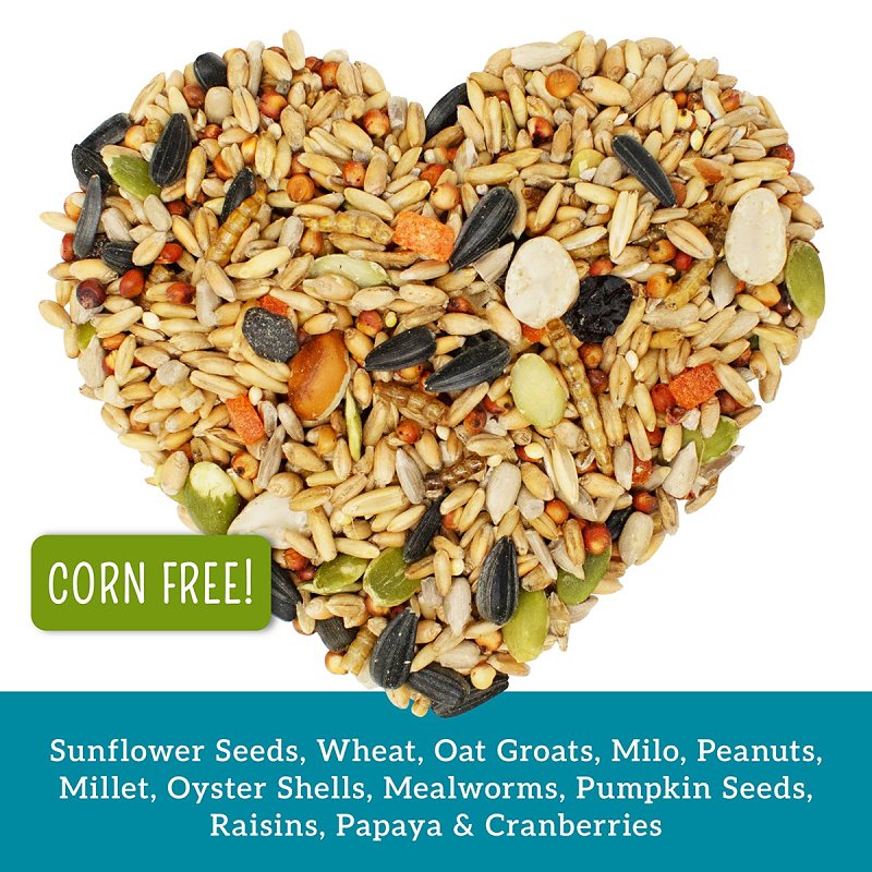 Love My Girls 15196 Fruit and Worms Snack, 5 lb