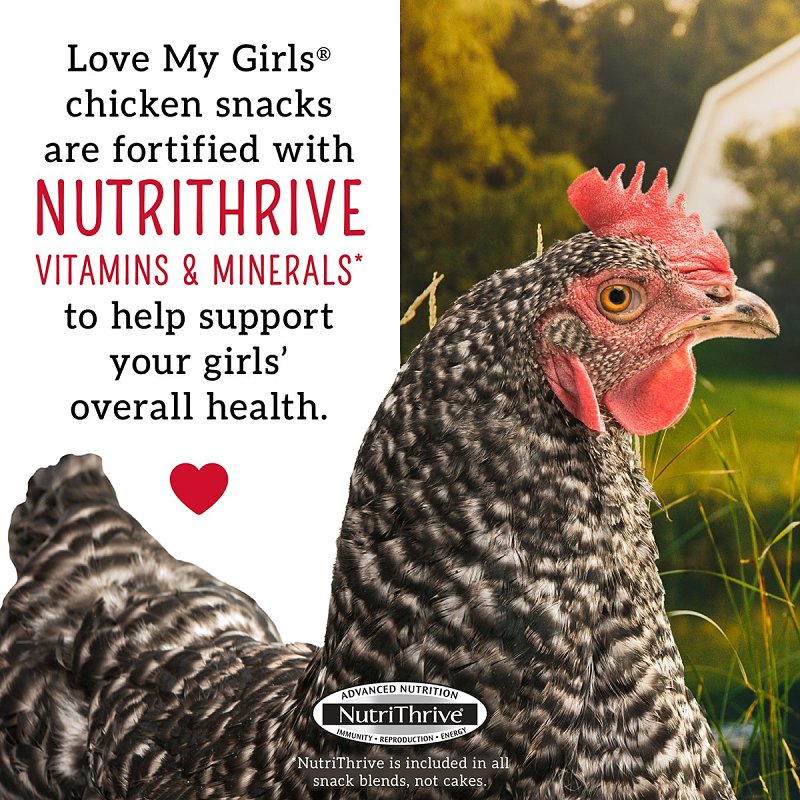 Love My Girls 15197 Veggies and Worms Snack, 5 lb