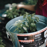 Behrens 5 gal Steel Multi Purpose Flexi-Tub Round