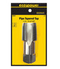 Isomax 82621 Pipe Tap, 1-1/4-11-1/3 Thread, NPT Thread, Taper Point, Tungsten Steel
