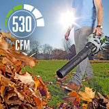 EGO Power+ LB5300 110 mph 530 CFM 56 V Battery Handheld Leaf Blower Tool Only