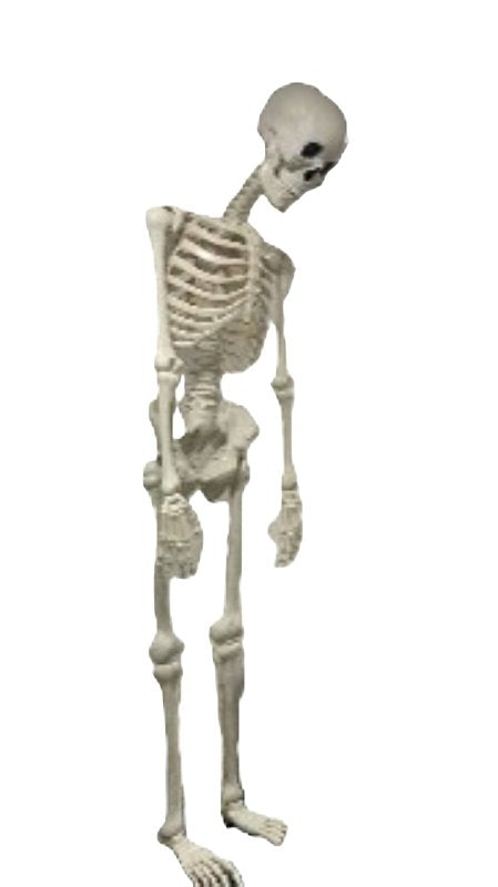 Santas Forest 36101 Halloween Skeleton with Blink Eye, 10 ft H
