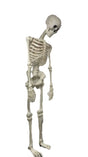 Santas Forest 36101 Halloween Skeleton with Blink Eye, 10 ft H