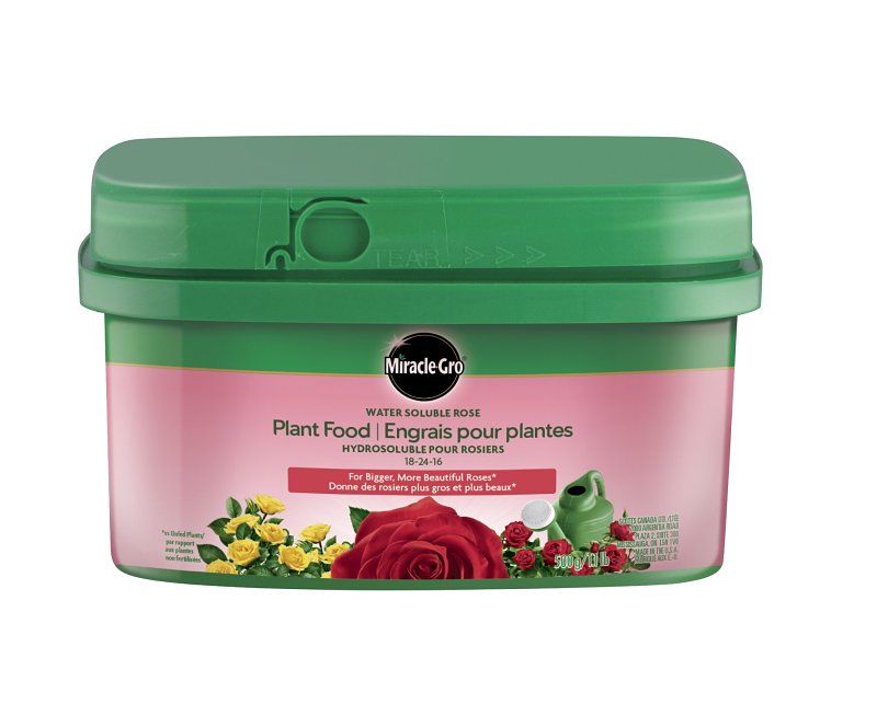 Miracle-Gro 2756610 Water Soluble Rose Plant Fertilizer, 500 g Box, Crystalline Powder, 18-24-16 N-P-K Ratio