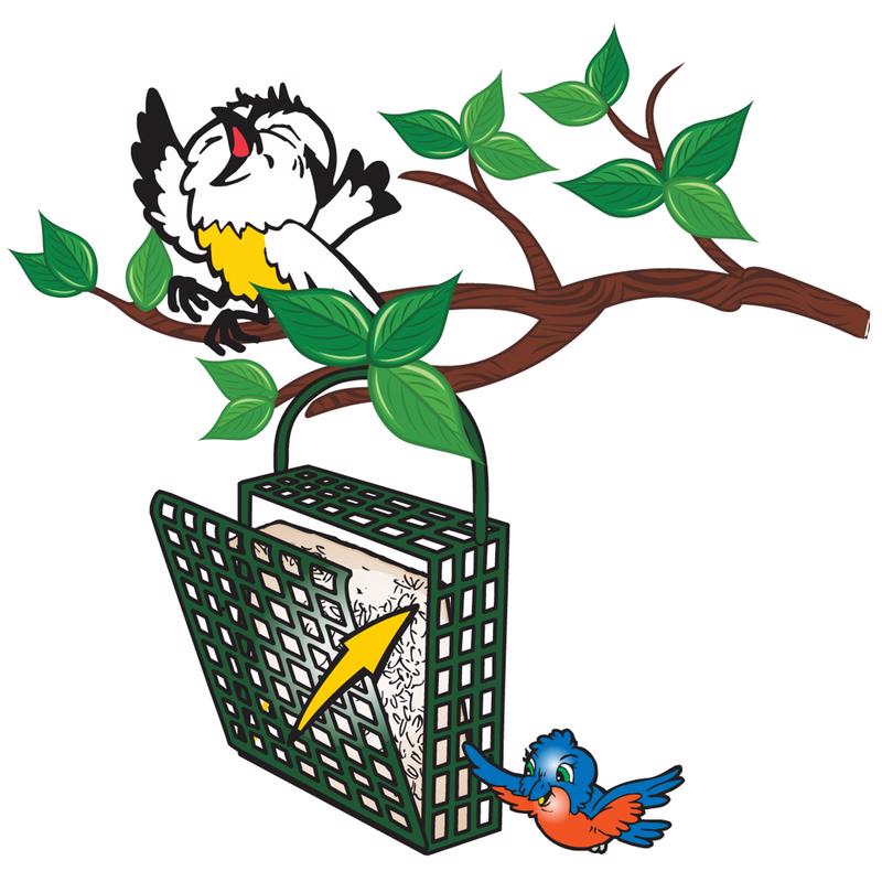 C&S Products Orange Delight Assorted Species Beef Suet Wild Bird Food 11.75 oz, Pack of 12