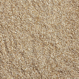 Kaytee Wild Bird Seed 5 lb