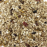 Wild Delight Bugs N' Berries Assorted Species Safflower Seeds Wild Bird Food 4.5 lb