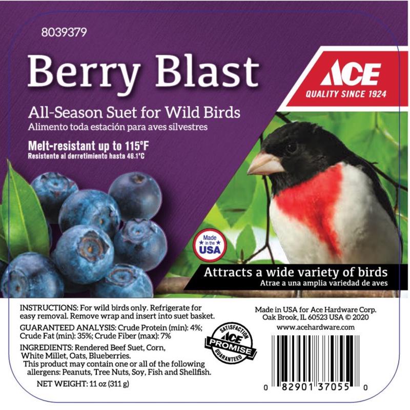 Ace Berry Blast Assorted Species Beef Suet 11 oz, Pack of 12