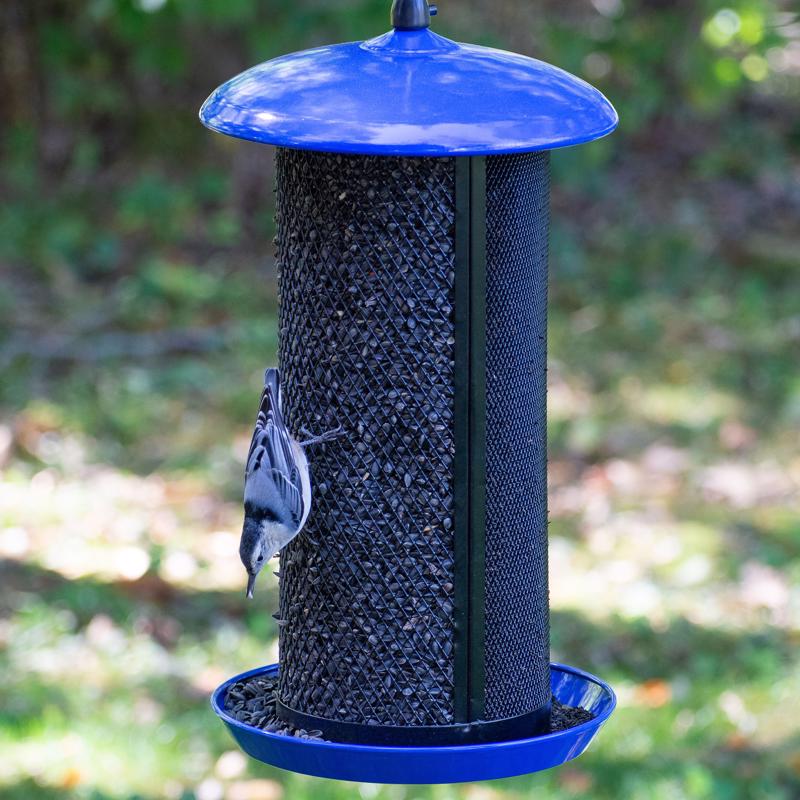Perky-Pet Wild Bird 8 lb Metal Mesh Dual Bird Feeder, Pack of 2