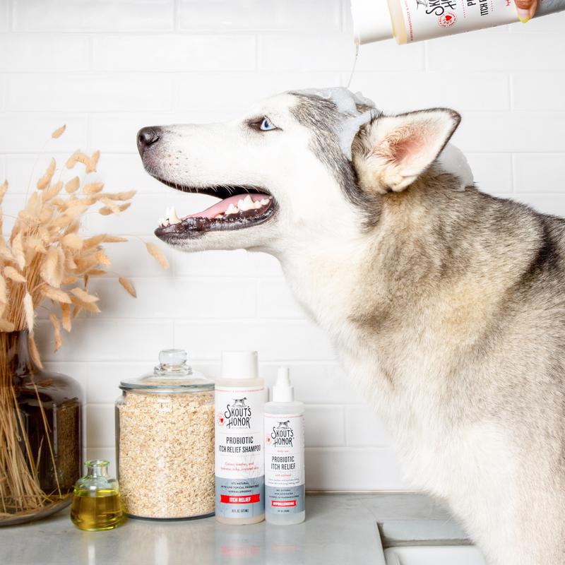Skout's Honor Dog Soothing Itch Shampoo 16 oz 1 pk