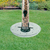 Audubon 10.38 in. H X 10.38 in. W X 1.25 in. D Wild Bird Food Preserver